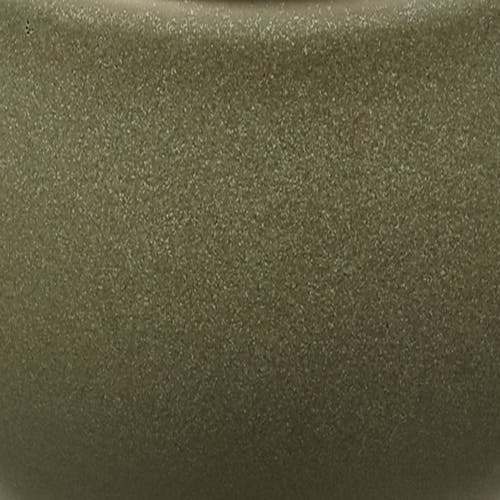 Tag Logan Salad Plate Stoneware Dishwasher Safe Sage Green In Green