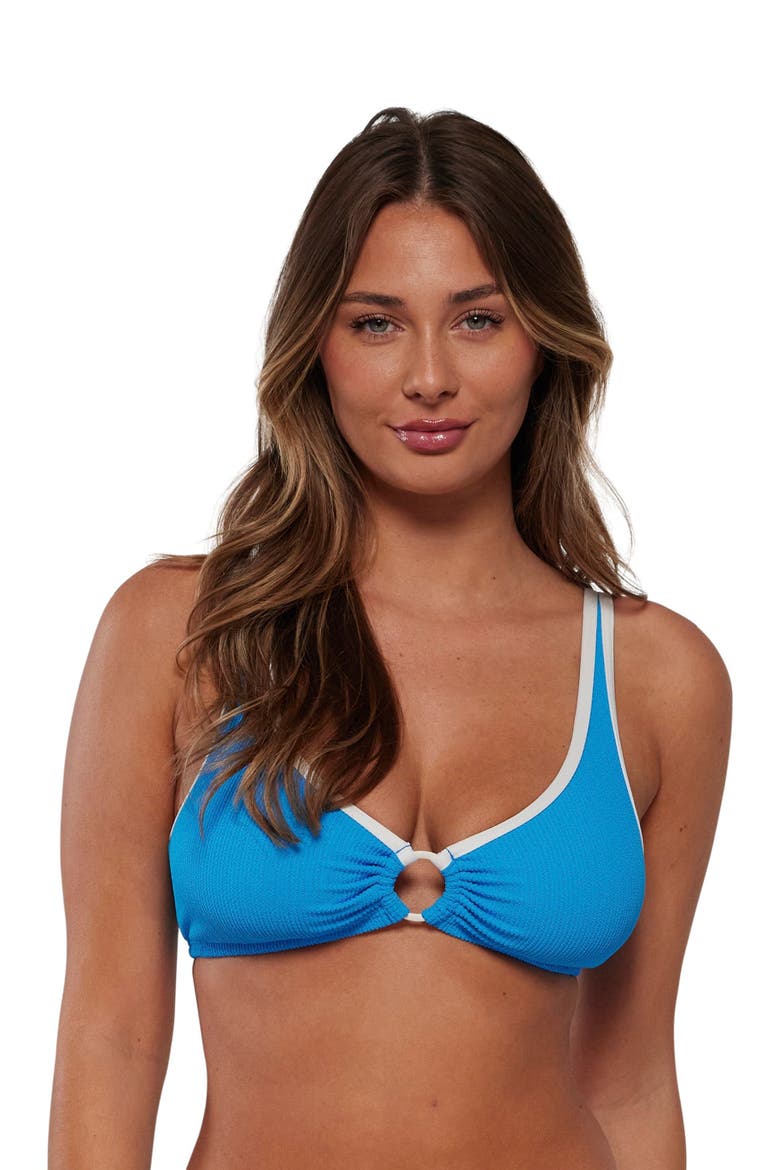 Oceana Bikini Swimsuit Top - DD Cup, Alternate, color, Blueberry