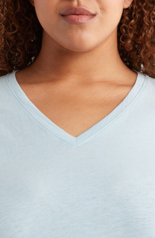 Eileen Fisher Easy V-neck Organic Cotton T-shirt
