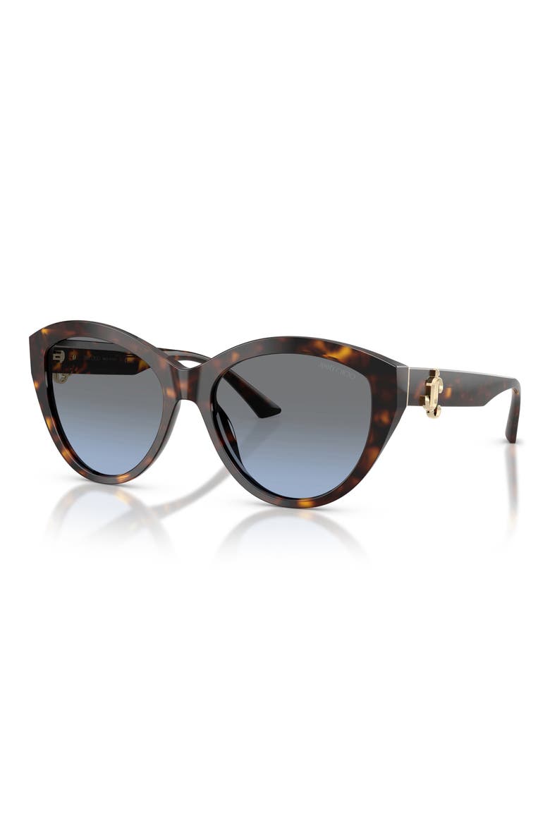 55mm Phantos Sunglasses, Alternate, color, HAVANA / GRADIENT BLUE