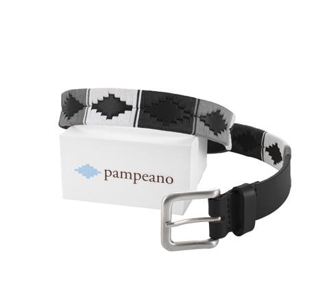 Nieve Belt