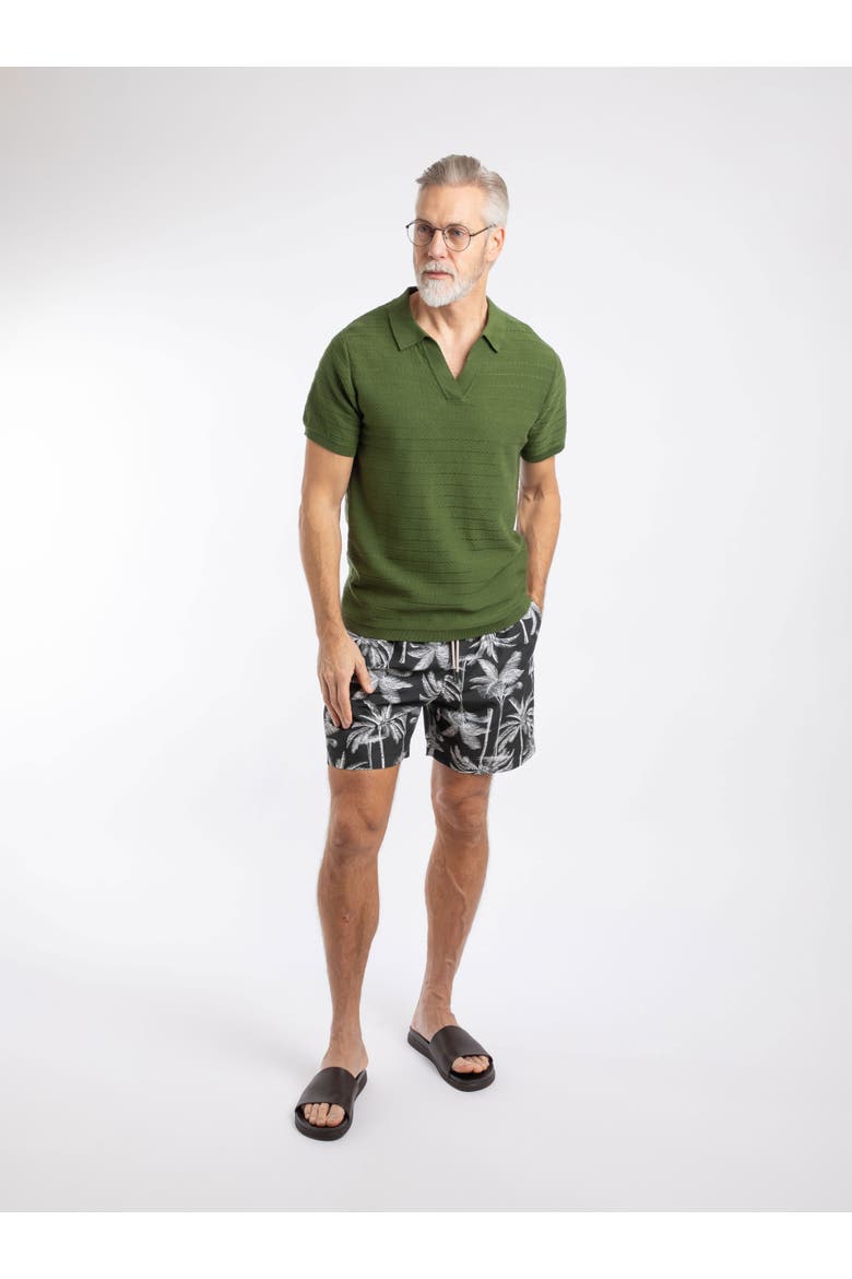 Tyne Trophy Neck Knitted Polo Shirt, Alternate, color, Ginko Green