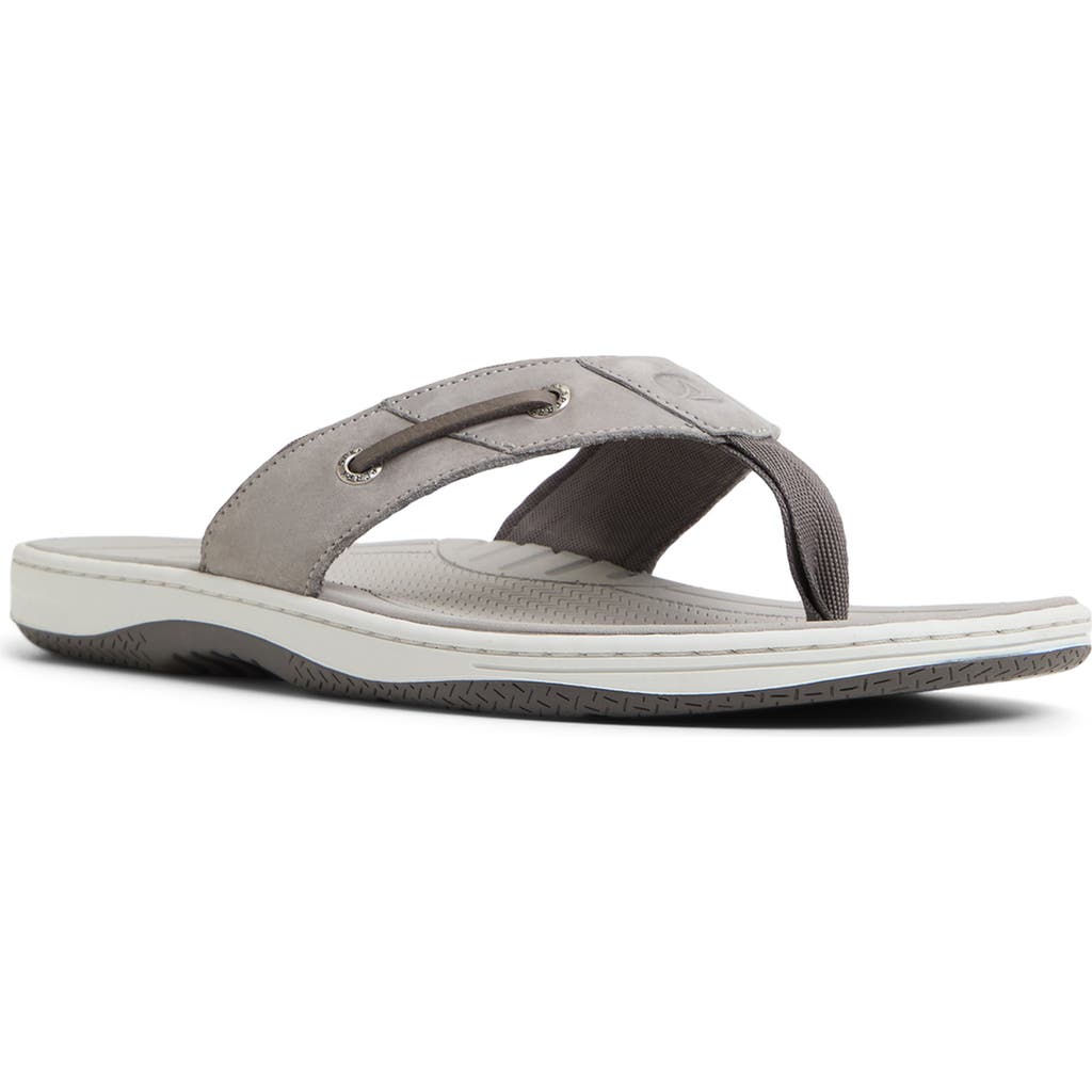 Sperry Baitfish Flip Flop In Light Grey