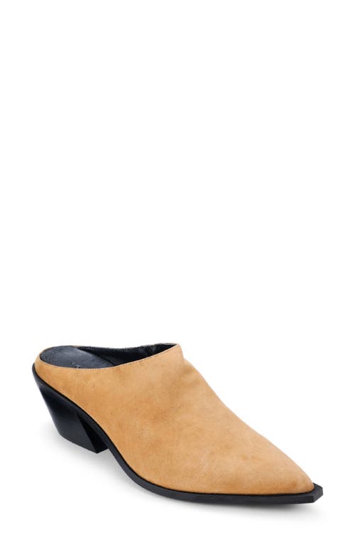 Yosi Samra Savile Pointed Toe Mule In Brown