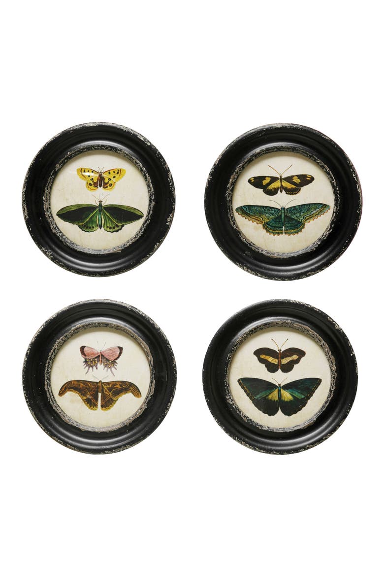 Moth and Butterfly Framed Wall Decor, Main, color, Black