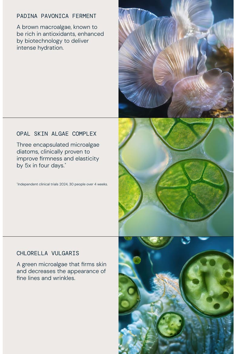 Pro-Collagen Revitalize & Rejuvenate Routine Set $292 Value, Alternate, color, NO COLOR