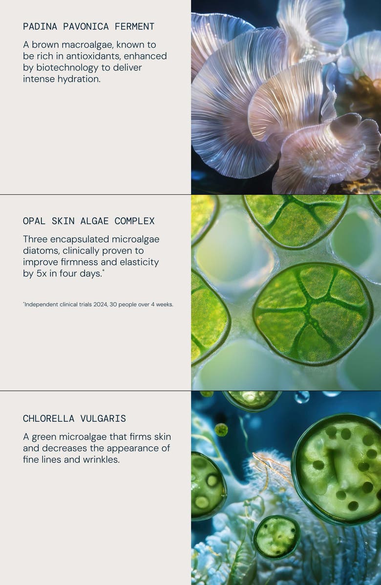 Elemis Pro-Collagen Revitalize & Rejuvenate Routine Set $292 Value, Alternate, color, 