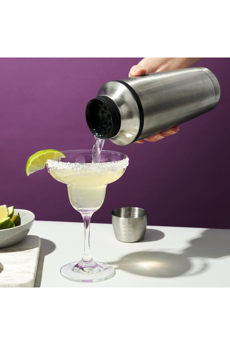 Double Walled Cocktail Shaker, Alternate, color, Silver