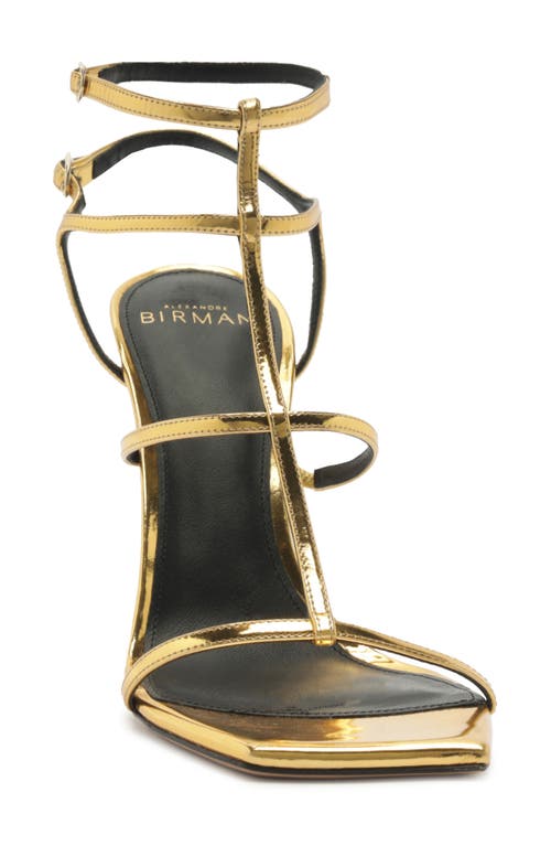 Alexandre Birman Amanda Cage Sandal In Gold