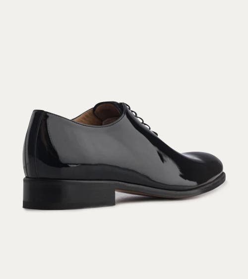 Ace Marks Carlo Wholecut Oxford In Black