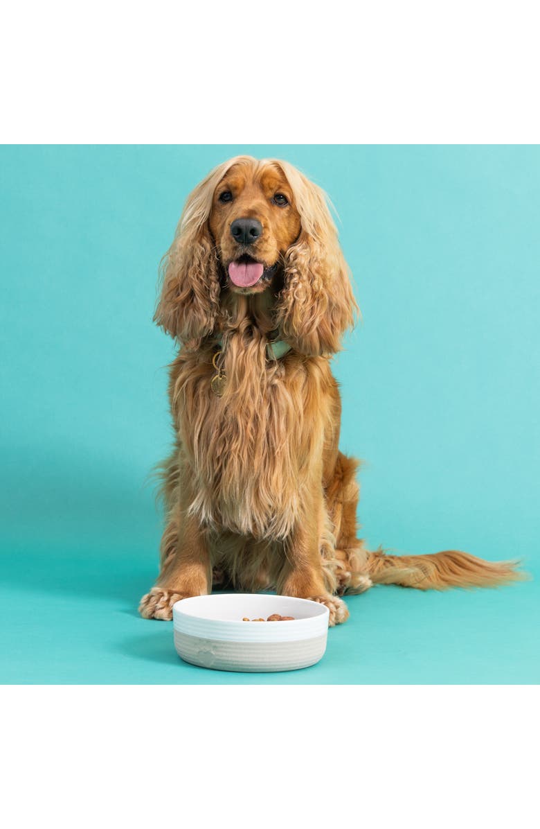 MASON CASH Heart Paw Pet Bowl, 7 Inch 32oz Cream & Tan, Alternate, color, Beige