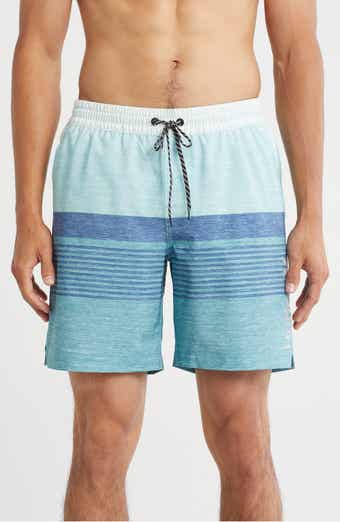 Hurley Ombré Volley Swim Shorts