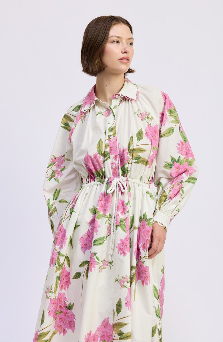 En Saison Esther Long Sleeve Floral Midi Shirtdress, Alternate, color, White Pink Sage