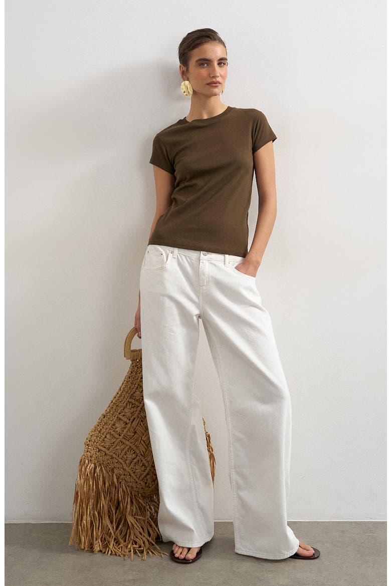 Everyday Cotton T-Shirt, Main, color, BROWN