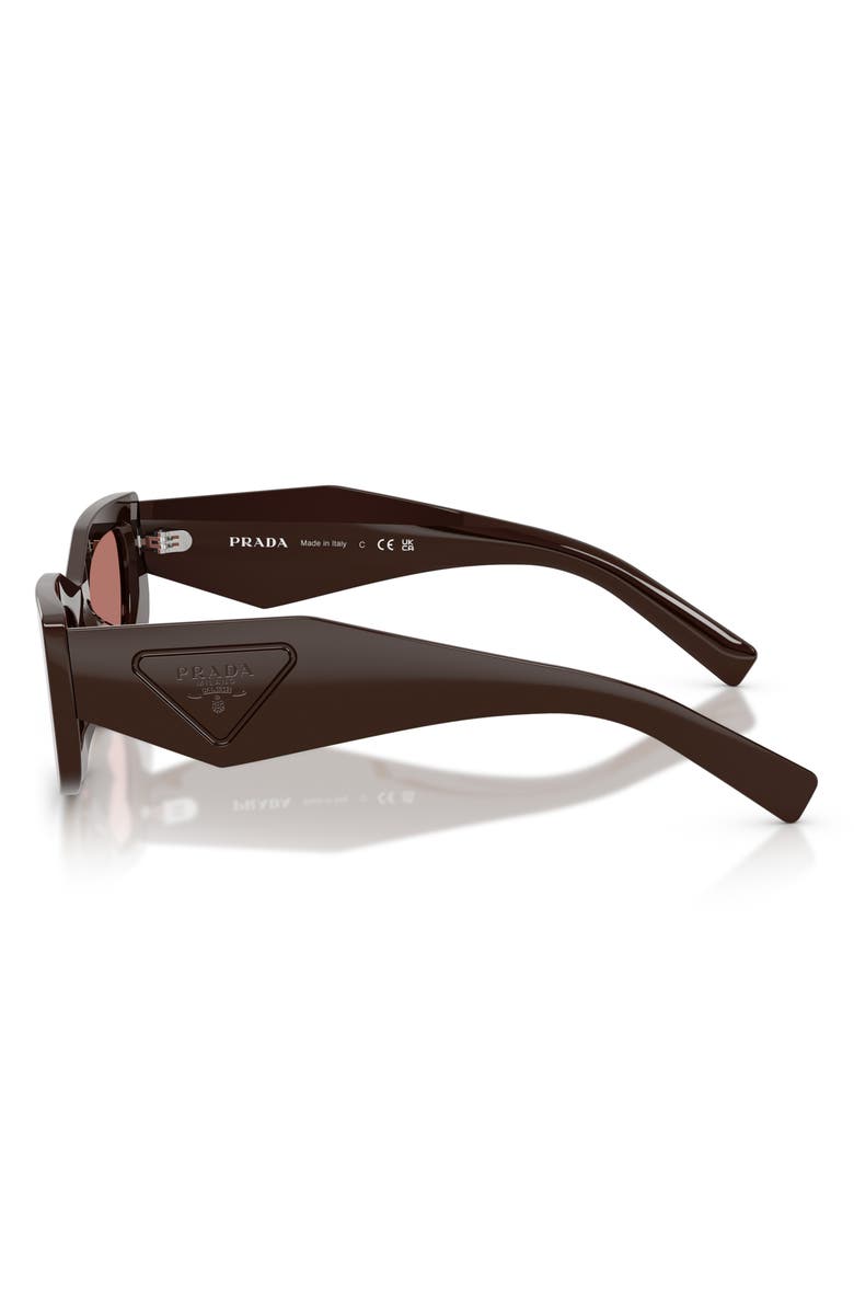 Prada 51mm Rectangular Sunglasses, Alternate, color, Cigar / Bordeaux