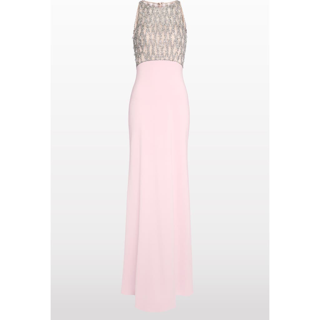 Jenny Packham Dewdrop Crystal-bodice Gown In Pink