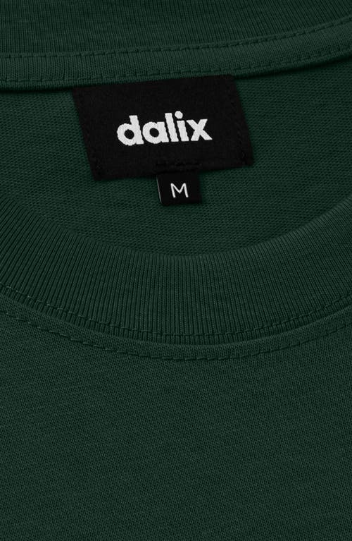 DALIX DALIX MENS GHOST MIDWEIGHT JERSEY TEE 