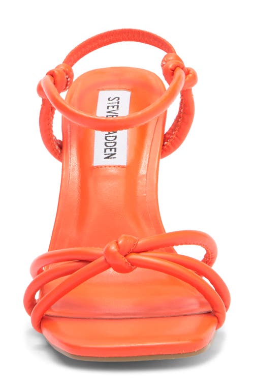 Steve Madden Tokio Knot Sandal