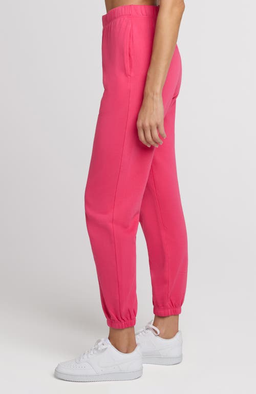 The Standard Stitch The Sweatpant In Pink
