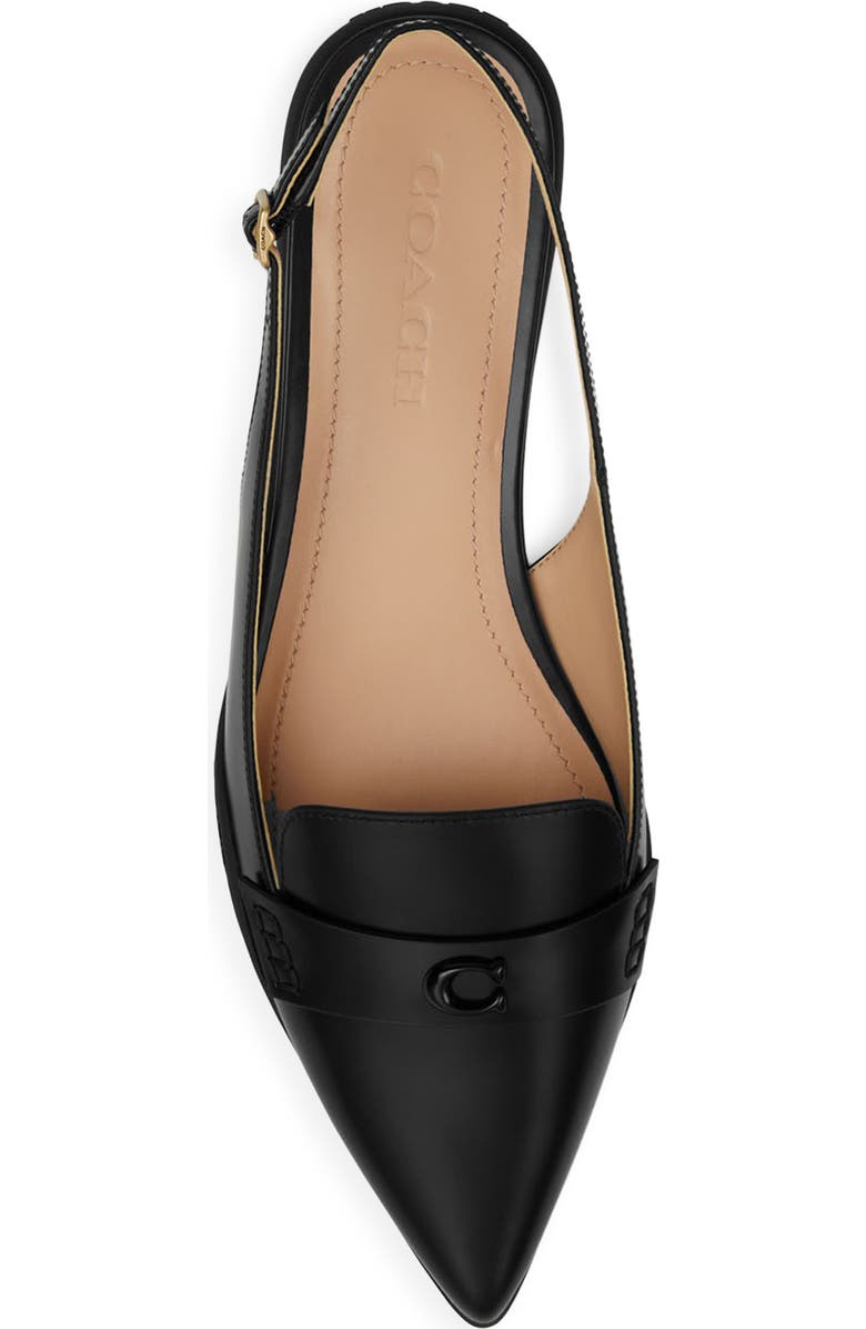COACH Carrie Pointed Toe Slingback Flat, Alternate, color,