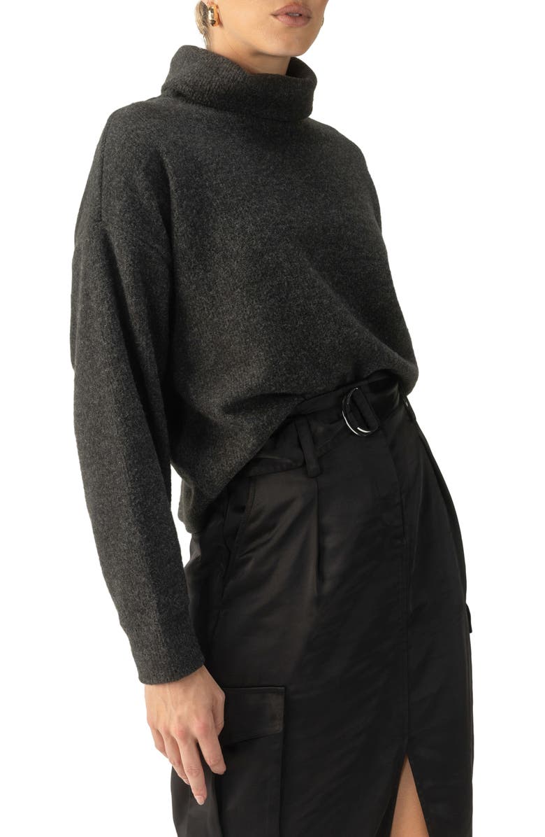 Sanctuary Everyday Cozy Knit Popover Top, Main, color,