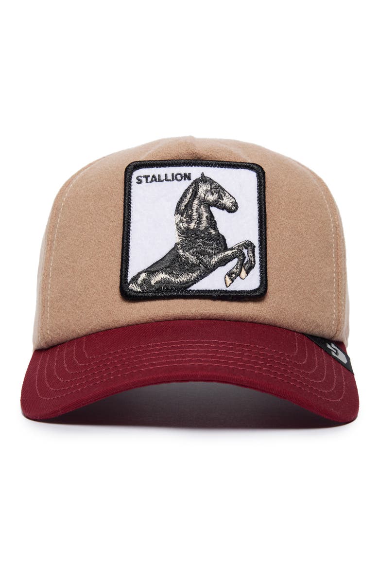 Free Rider Wool Blend Hat, Alternate, color, TAN
