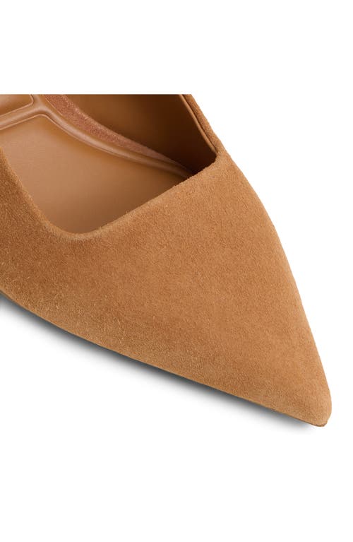 Aldo Adan Pointed Toe Slingback Pump In Brown