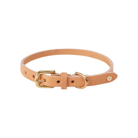 Robin Dog Collar