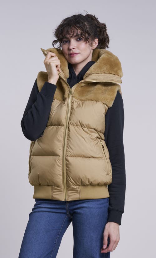 Blue Duck Down Vest in Camel  product