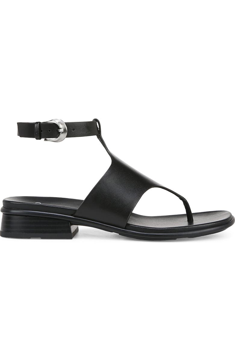 27 EDIT Naturalizer Beck Ankle Strap Sandal, Alternate, color,