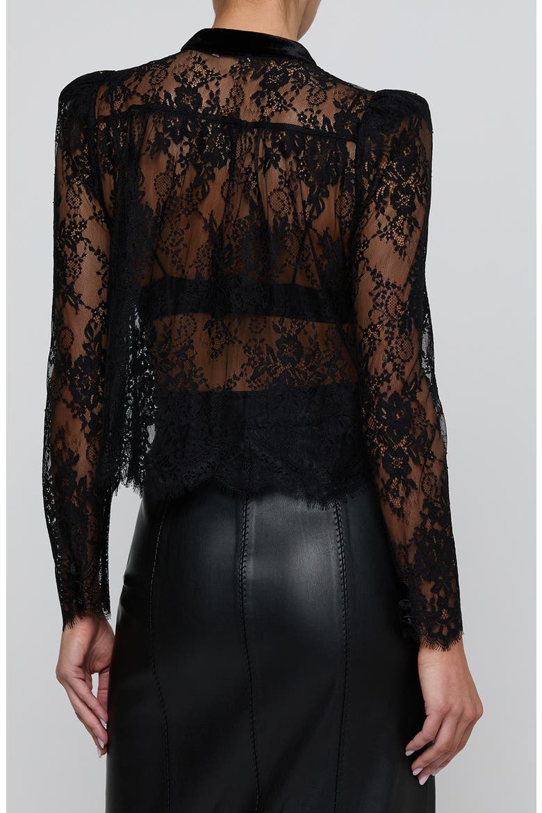Dorothea Lace Top with Velvet Trim, Alternate, color, BLACK