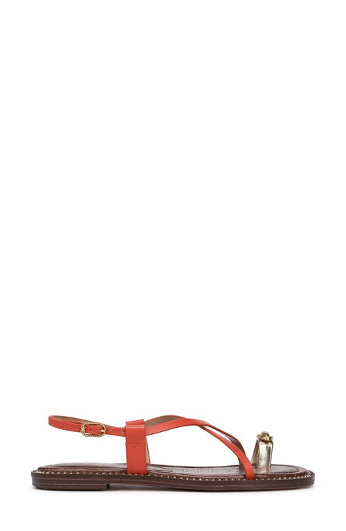 Sam Edelman Tenly Toe Loop Sandal In Orange Sunrise/amber Gold