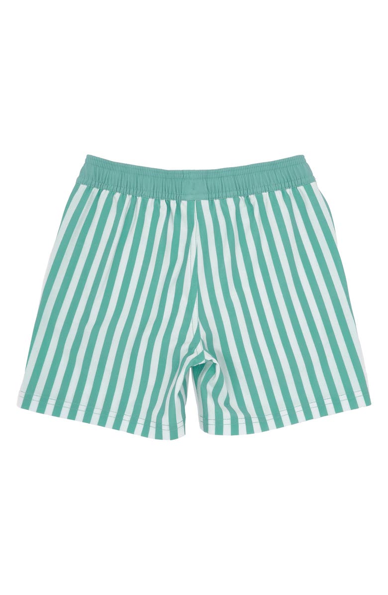 Feather 4 Arrow Sun Club Volley Swim Trunks, Alternate, color, 