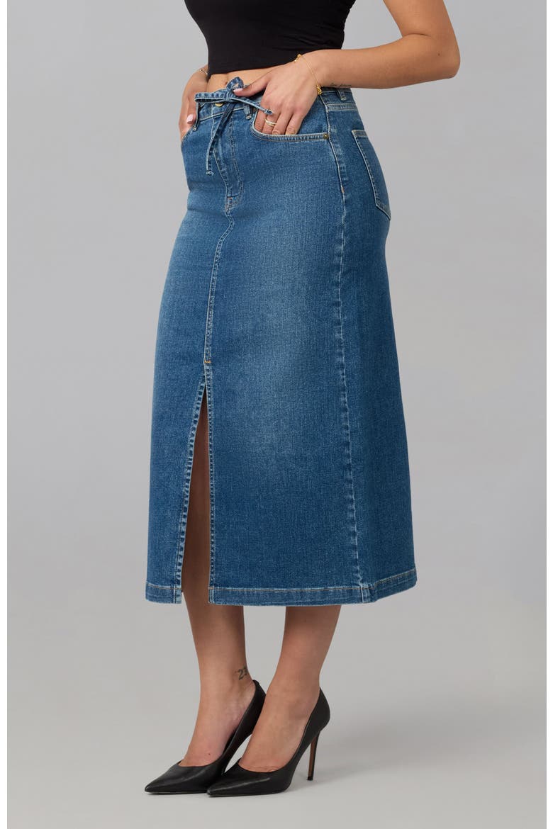 Halston High Rise Maxi Skirt, Alternate, color, Film Noir