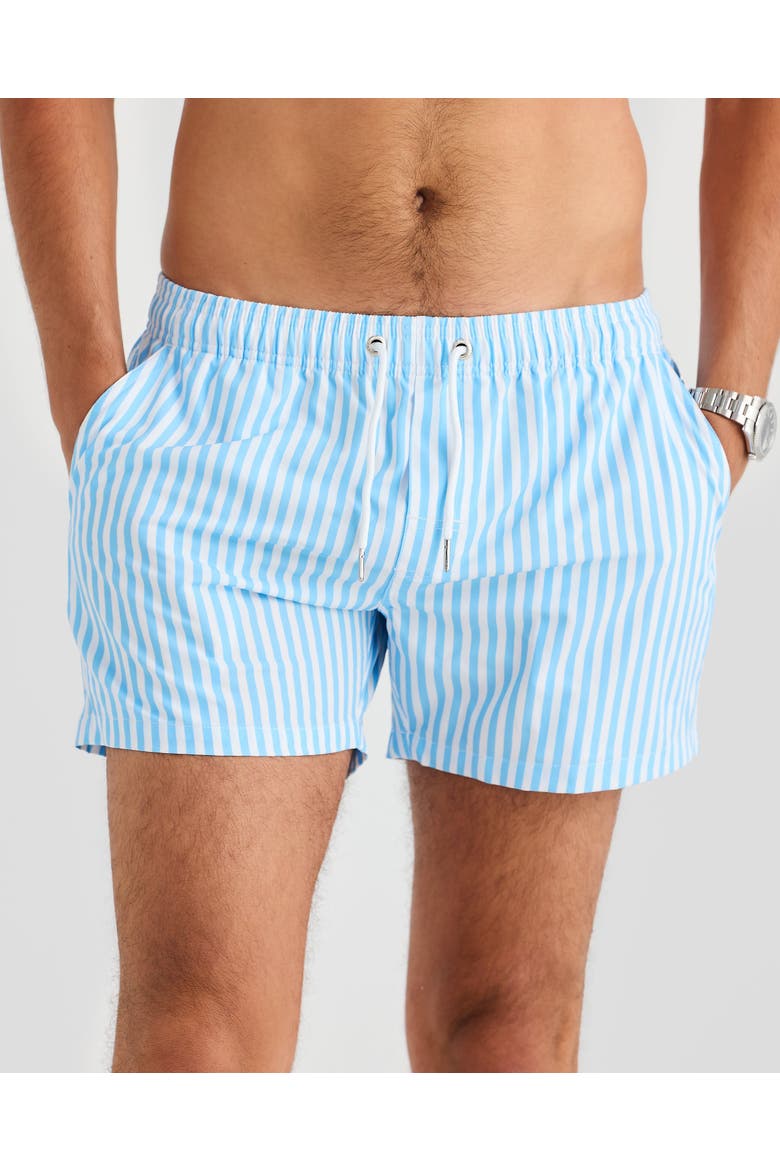 Monte Carlo Stretch Swim Short, Main, color, White & Blue Pin Stripe