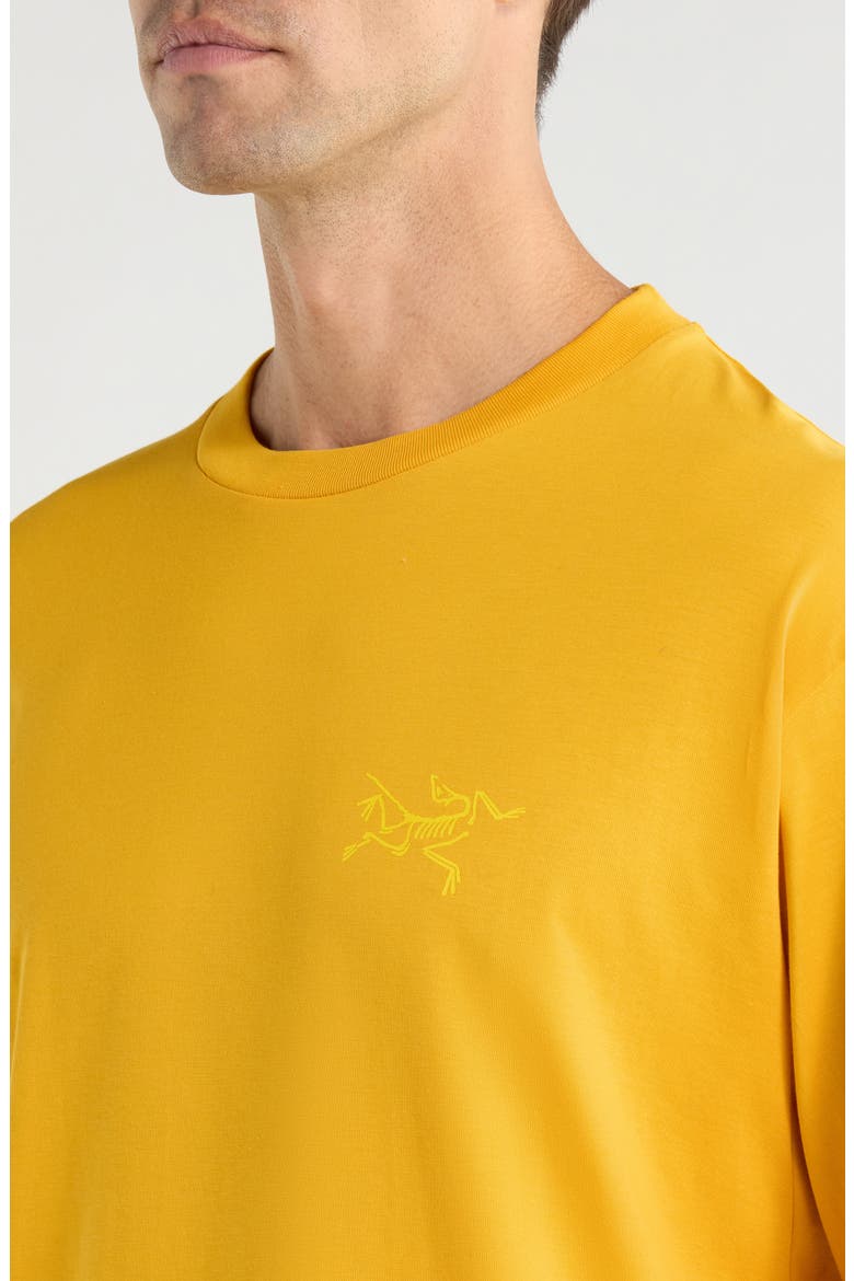 Kragg Long Sleeve Cotton Graphic T-Shirt, Alternate, color, LARCH