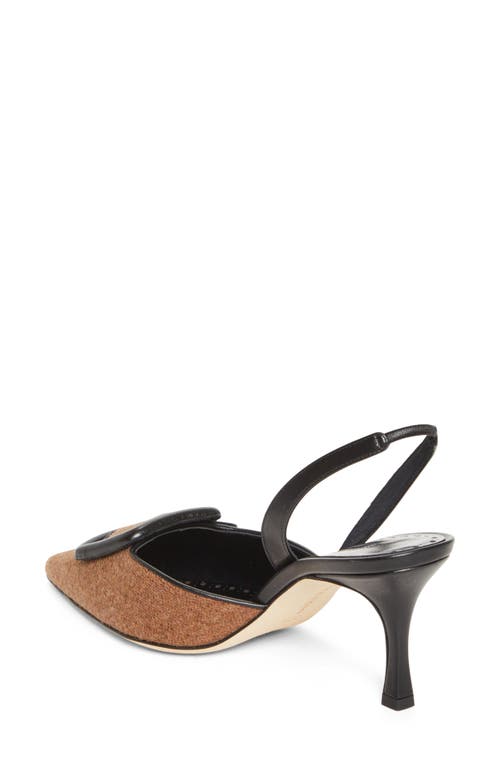 Manolo Blahnik Mayslibi Buckle Slingback Pump In Brown