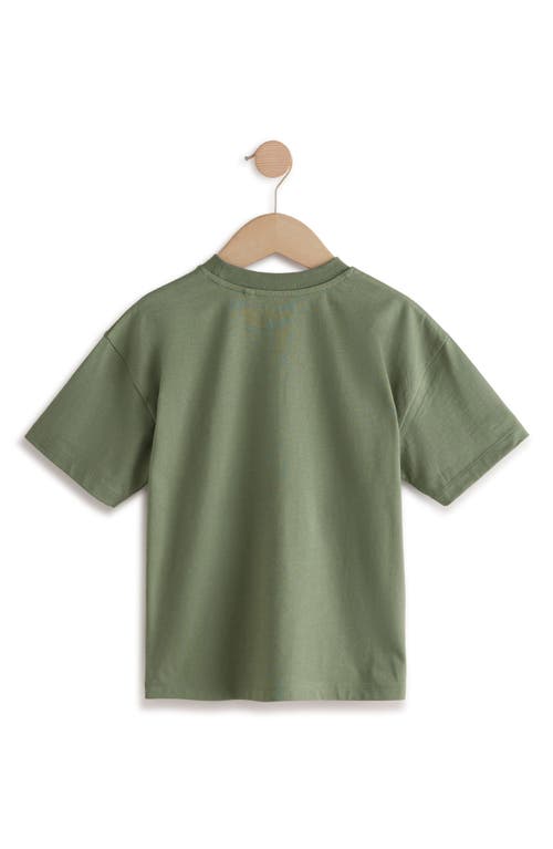 Next Kids' Skater Frog Cotton Graphic T-shirt In Gray