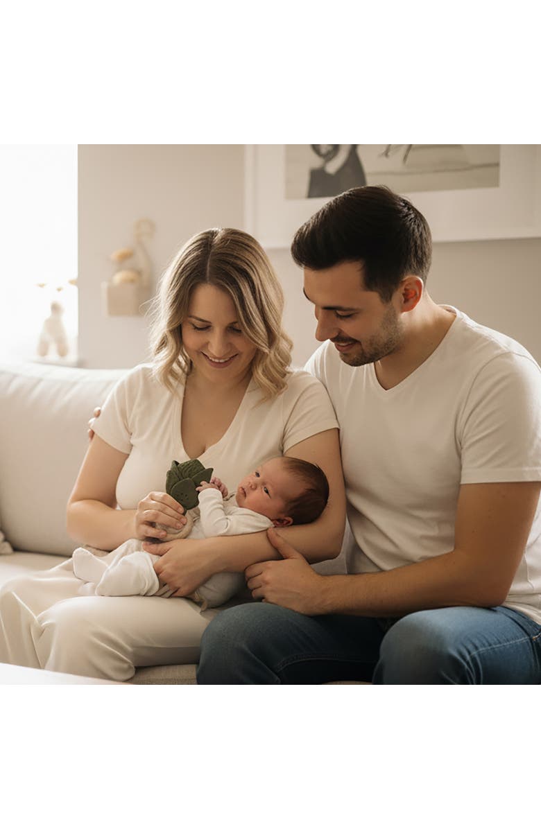 Petit Artichaut Birth Gift Set - Baby Handprint Kit, Comforter & Milestone Cards | Baby Shower Gift, Alternate, color, 