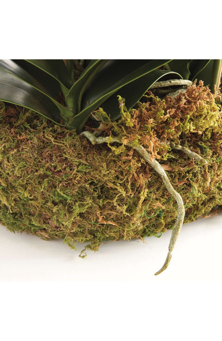 Napa Home & Garden Phalaenopsis Orchid Bowl Drop-In 35", Alternate, color, White