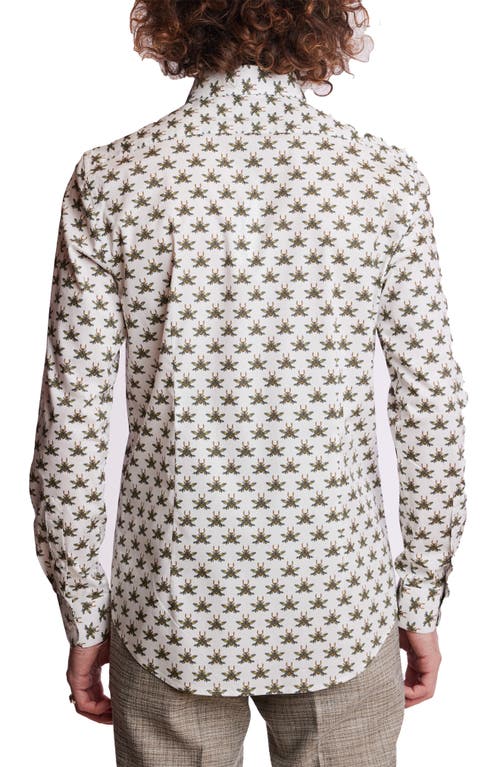 Paisley & Gray Brian Beetle Print Stretch Cotton Dress Shirt In White