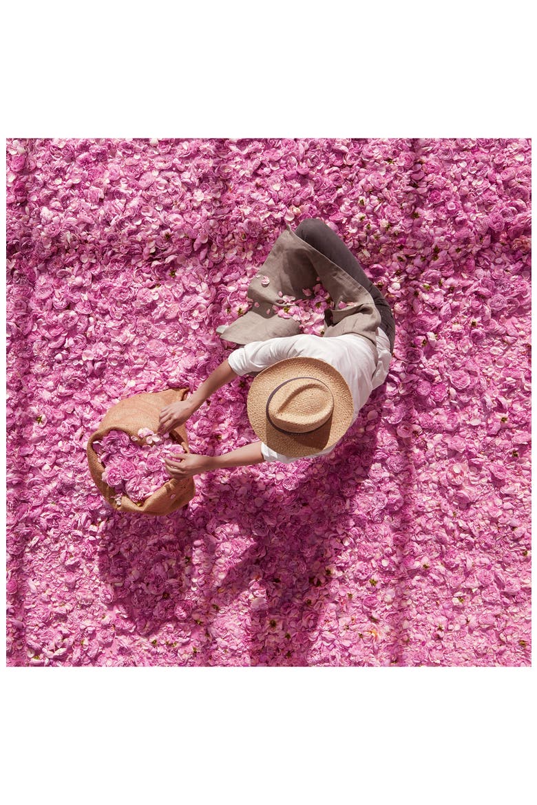 Miss Dior Eau de Parfum, Alternate, color, NO COLOR