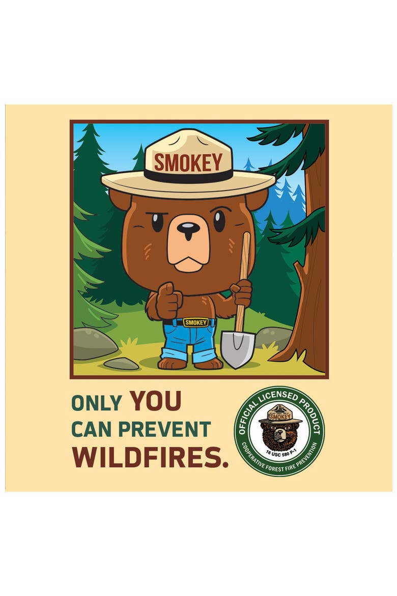 Smokey Bear 100 Piece Jigsaw Puzzle, Alternate, color, Multicolor