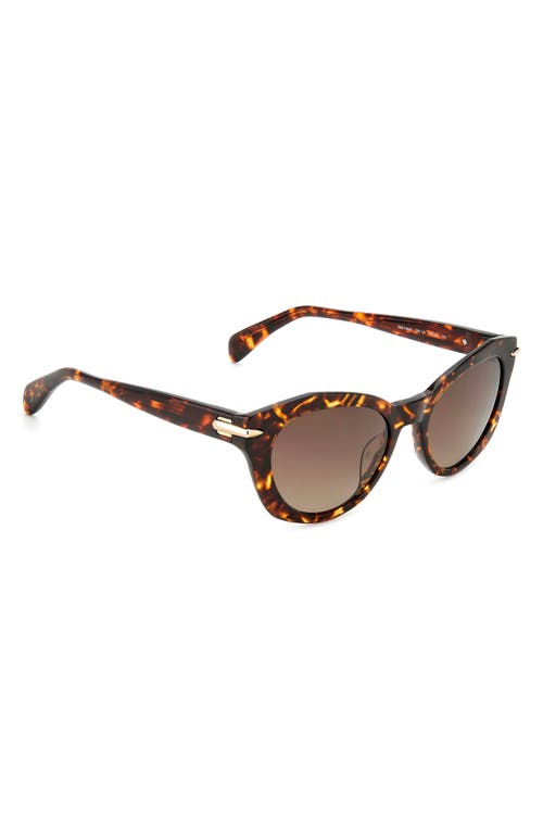 Rag & Bone 53mm Cat Eye Sunglasses In Brown