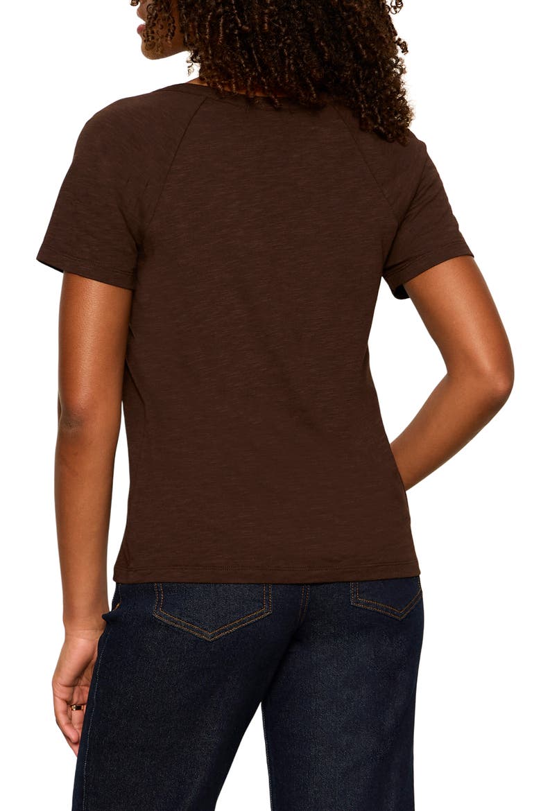 Notch V-Neck Cotton Blend T-Shirt, Alternate, color, RICH SOIL BROWN
