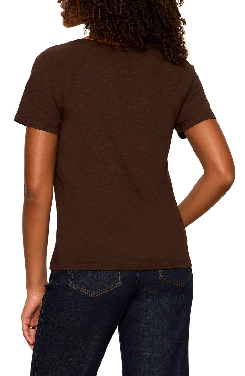 Sanctuary Notch V-Neck Cotton Blend T-Shirt, Alternate, color, Rich Soil Brown