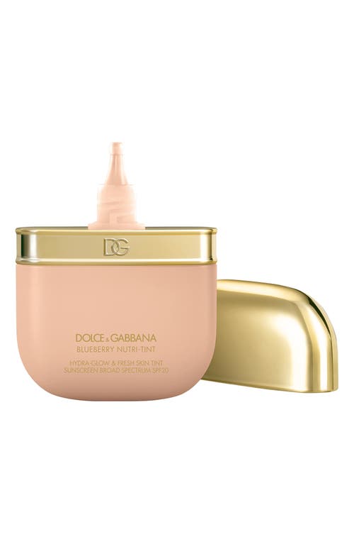 Dolce & Gabbana Dolce&gabbana The Blueberry Nutri-tint Skin Tint