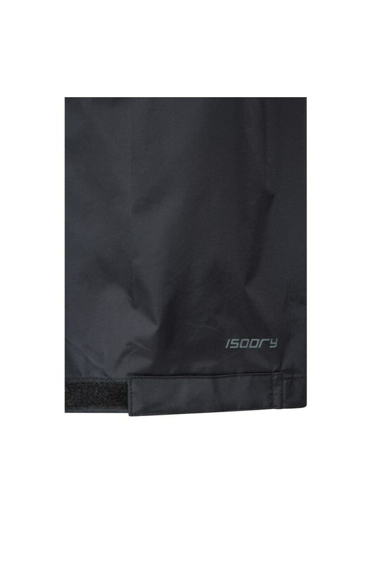 Downpour Waterproof Pants, Alternate, color, Black