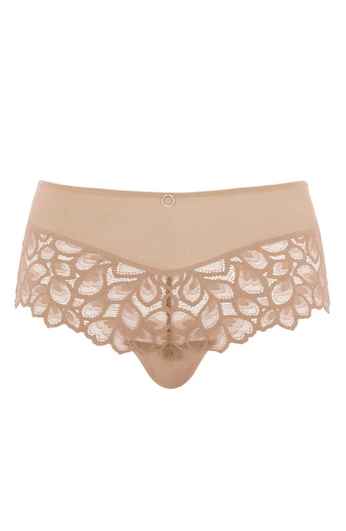 Panache Allure Lace Cheeky Briefs In Brown