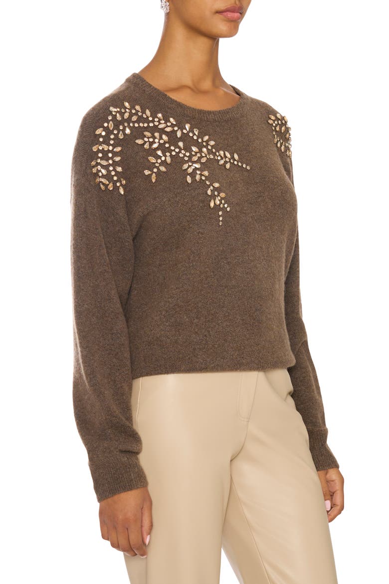 Embellished Crewneck Sweater, Alternate, color, MEDIUM BROWN